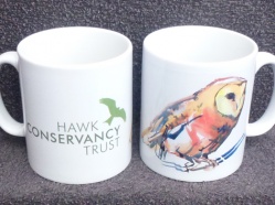 Hawk-Conservancy-Trust-3.jpg