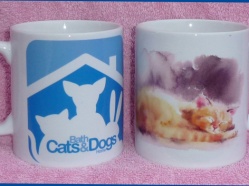 Bath Cats & Dogs Home