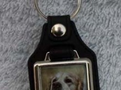 North West Golden Retriever Club Key Ring
