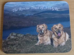 North West Golden Retriever Club