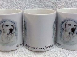 North West Golden Retriever Club