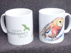 Hawk-Conservancy-Trust-2.jpg