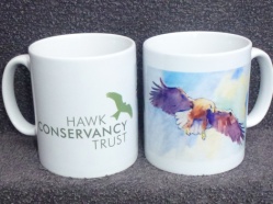 Hawk-Conservancy-Trust-1.jpg