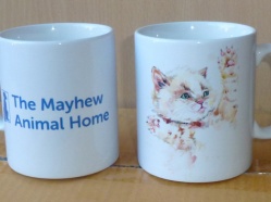 The-Mayhew-Animal-Home---Cat-2.jpg