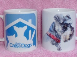 Bath Cats & Dogs Home