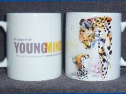 Young-Minds-Leopard.jpg
