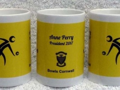 North Cornwall Bowls 2017
