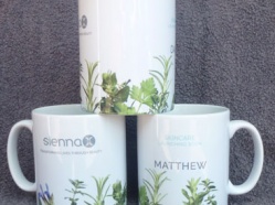 Staff Mugs for The Spray Tan Cubicle Company Ltd