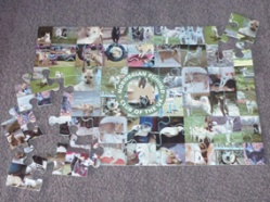 Buhund Jigsaw