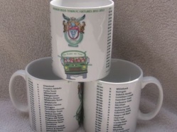 Bognor Regis Town Fixtures 2011/12