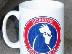 Dorking-Wanderers-FC-3.jpg
