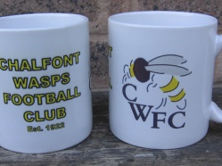 Chalfont Wasps