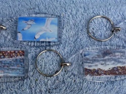 Key Ring