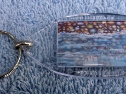 Paddling Key Ring