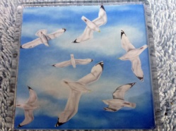 Gulls Magnet