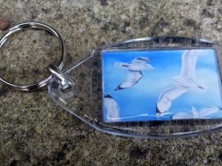 Gulls Key Ring