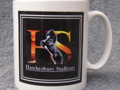 Hawksbury Stallions