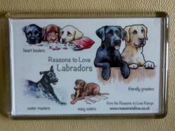 Labrador Magnet