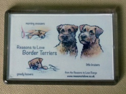 Border Terrier Magnet