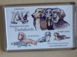 Dashshund Magnet