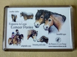 Exmoor Ponies