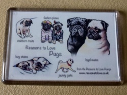 Pug Magnet