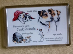 Jack Russell