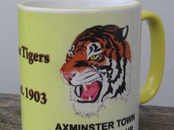 Axminster Town FC