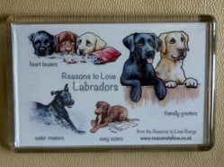 Nikki Moore Labrador Magnet.JPG