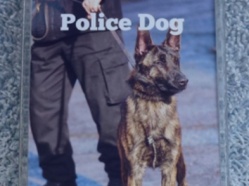 West Midlands Police Dog Magnet 2018 4.JPG