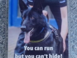 West Midlands Police Dog Magnet 2018 5.JPG