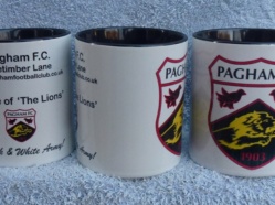 Pagham FC 2.JPG