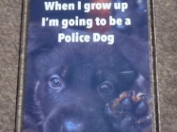 WMP Retired Police Dogs - Magnet 7.JPG