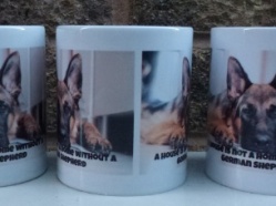 WMP Retired Police Dogs 2019 Mug 16.JPG