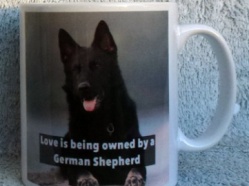 WMP Retired Police Dogs 2019 Mug 13.JPG