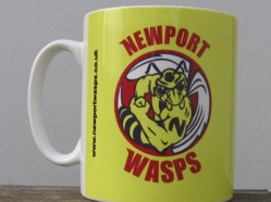 Newport Wasps