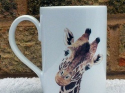 Sancturies and Zoo mugs