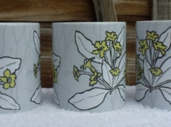 Caroline Davidson Primrose Mug 2.JPG