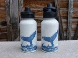 400ml Bottle - Whale Tail