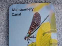 Mongomery Canal (for Underhill Farm) 2017 7.JPG
