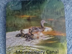 Mongomery Canal (for Underhill Farm) 2017 6.JPG