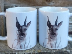 Simpkins Buck 2.JPG