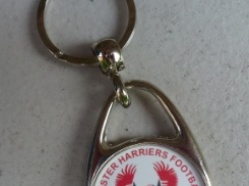 Harriers Teardrop style Keyring