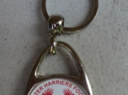 Teardrop style Key Ring