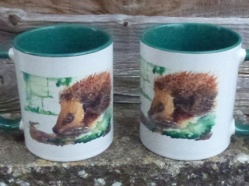 Shirley Lowe Hedgehog