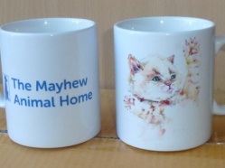 Matt Hepplewhite The Mayhew Animal Home Cats 1.JPG