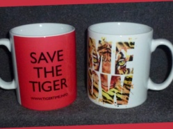 Matt Hepplewhite Save the Tiger MEOW 1.JPG