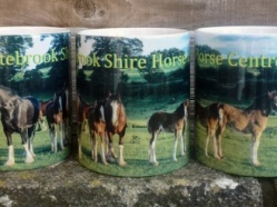 Cotebrook Shire Horse Centre