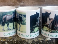 Cotebrook Shire Horse Centre