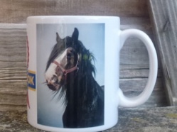 Cotebrook Shire Horse Centre